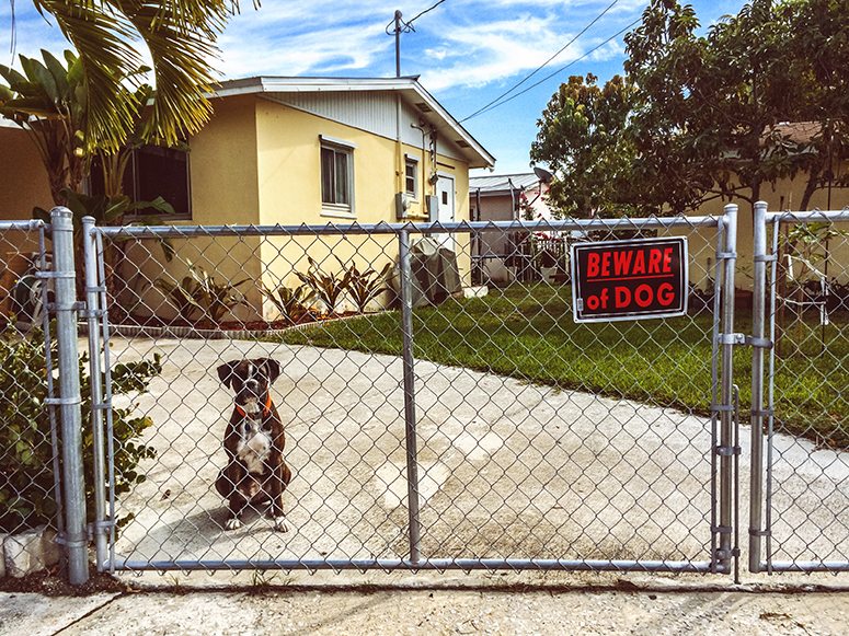 Beware of dog sign - California Dog Attack Attorney - Johnson Attorneys Group