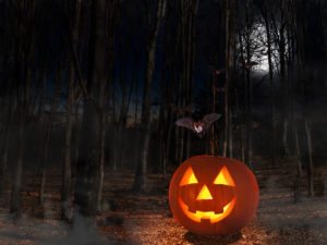  Rules for driving on Halloween during trick-or-treat time