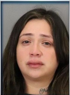 Silvia Solorio Arrested San Jose Hit-and-run Crash Blossom Hill Road
